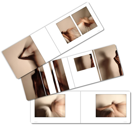 book  about nudity in art photography and drawing