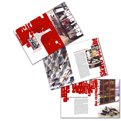 book about skateboard